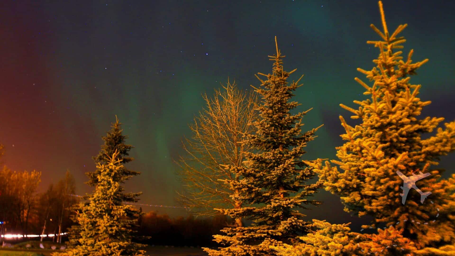 Discover the Magic of Alaska's Northern Lights (Aurora Borealis)