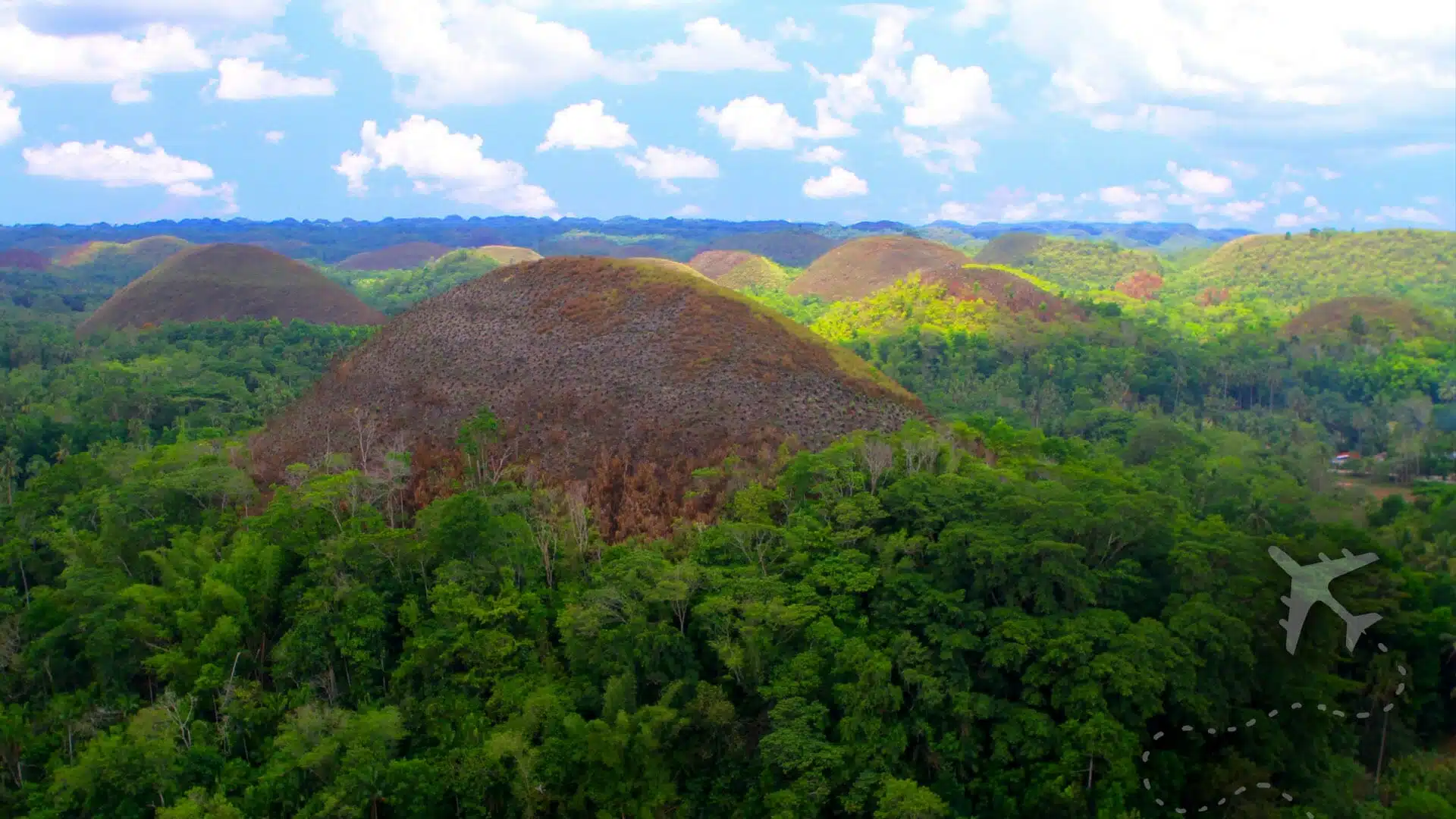 Exploring the Natural Beauty of the Chocolate Hills on Bohol