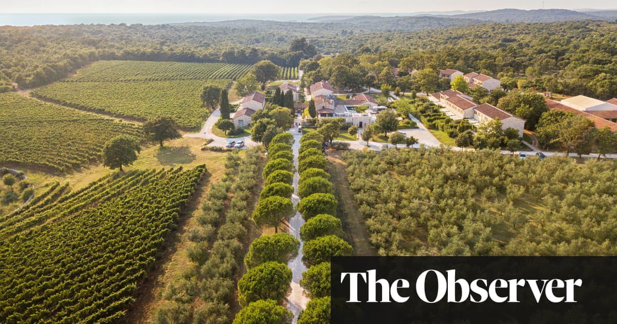 From grape stomping to truffle hunting: 10 great harvest festival trips in Europe | Travel