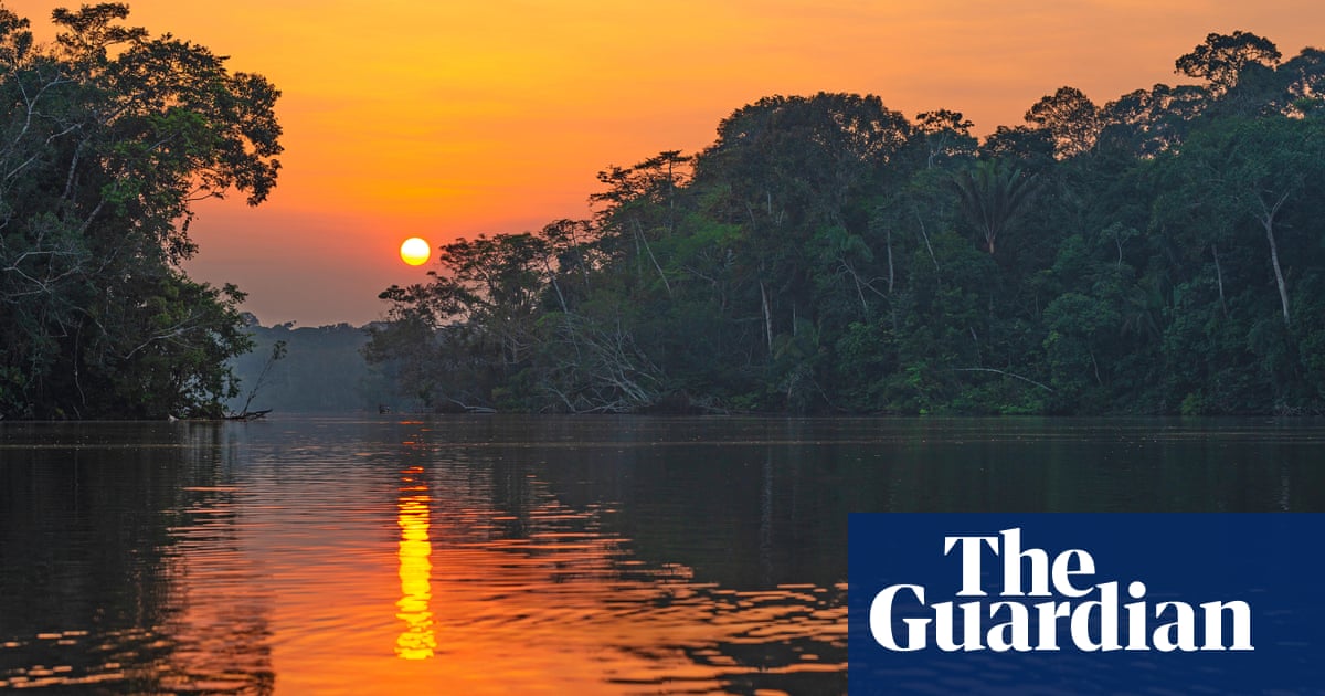 Into the Peruvian Amazon: ‘I’m going to show you good things. Let’s start with an anaconda’ | Amazon holidays