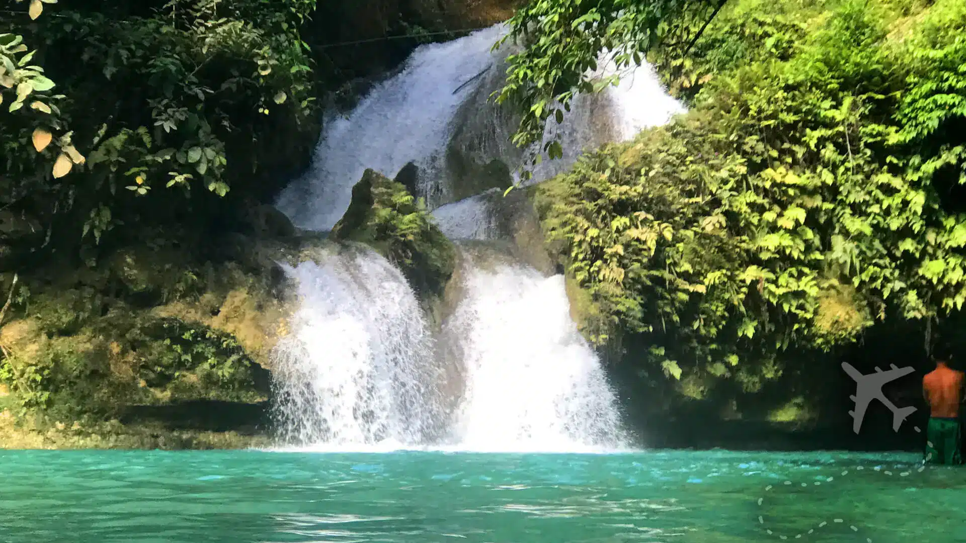 Kawasan Falls (Moalboal): Nature's jungle paradise awaits