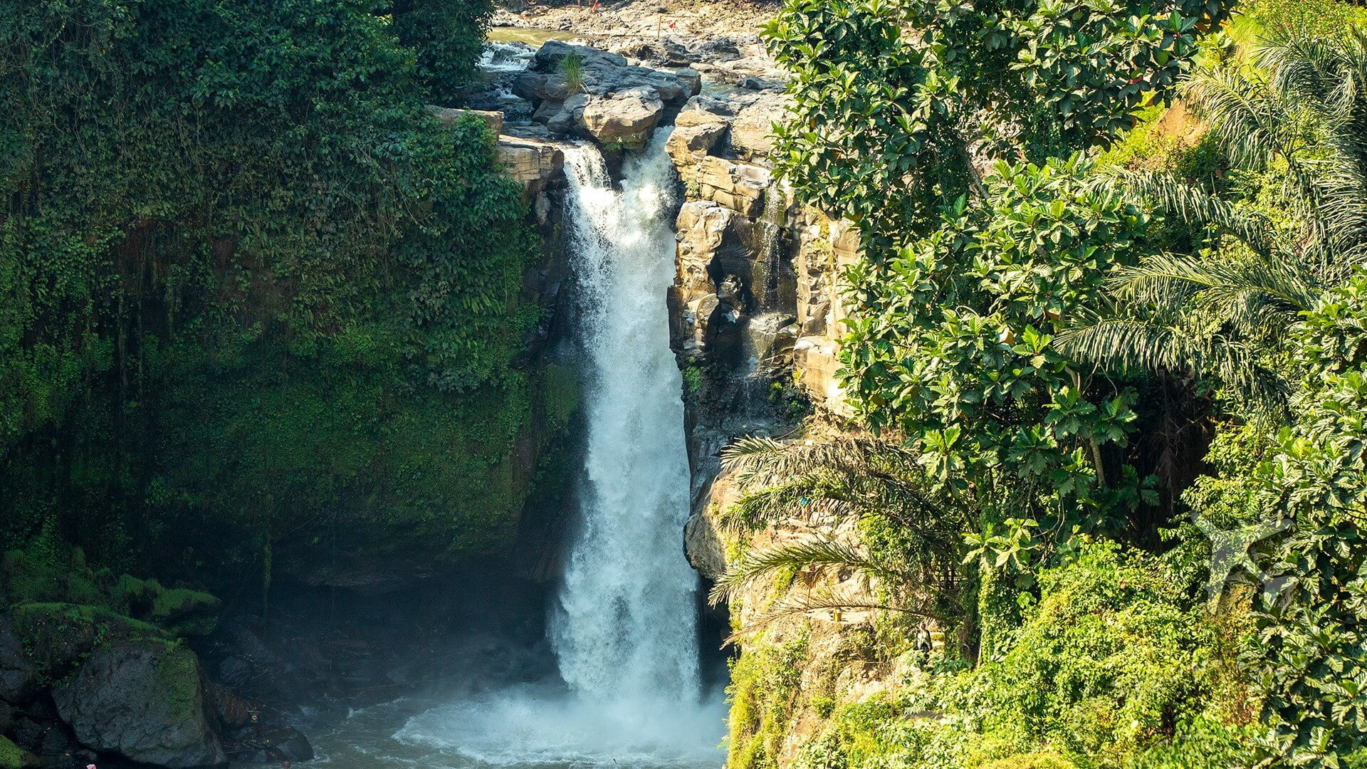 Nature's Majesty in the heart of Bali