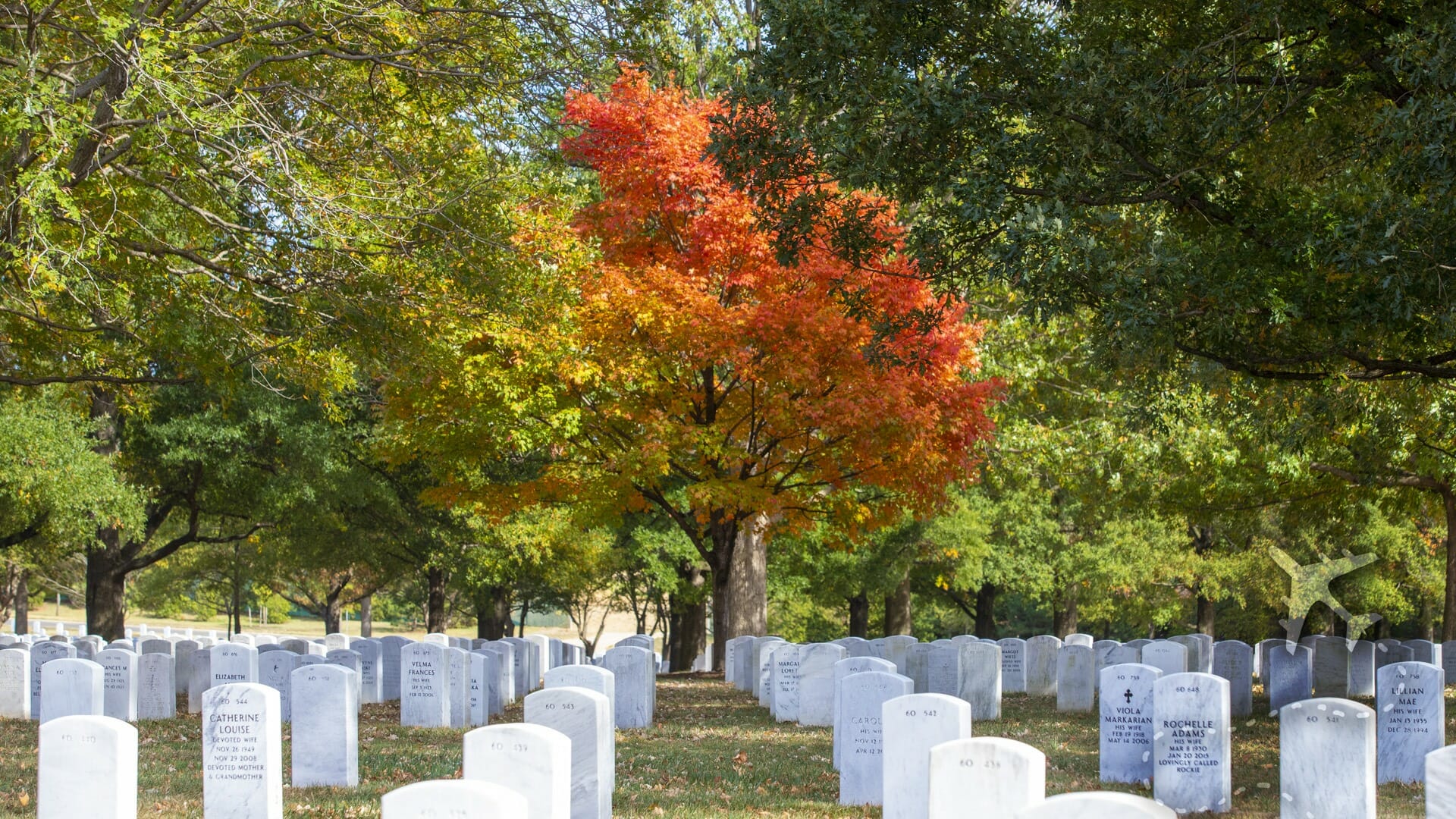 Uncover the Stories of Arlington National Cemetery