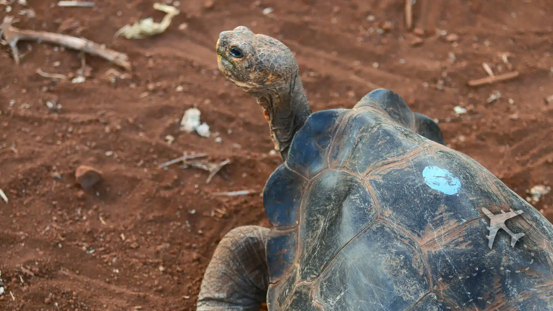 Uncovering the Wonders of the Charles Darwin Research Station