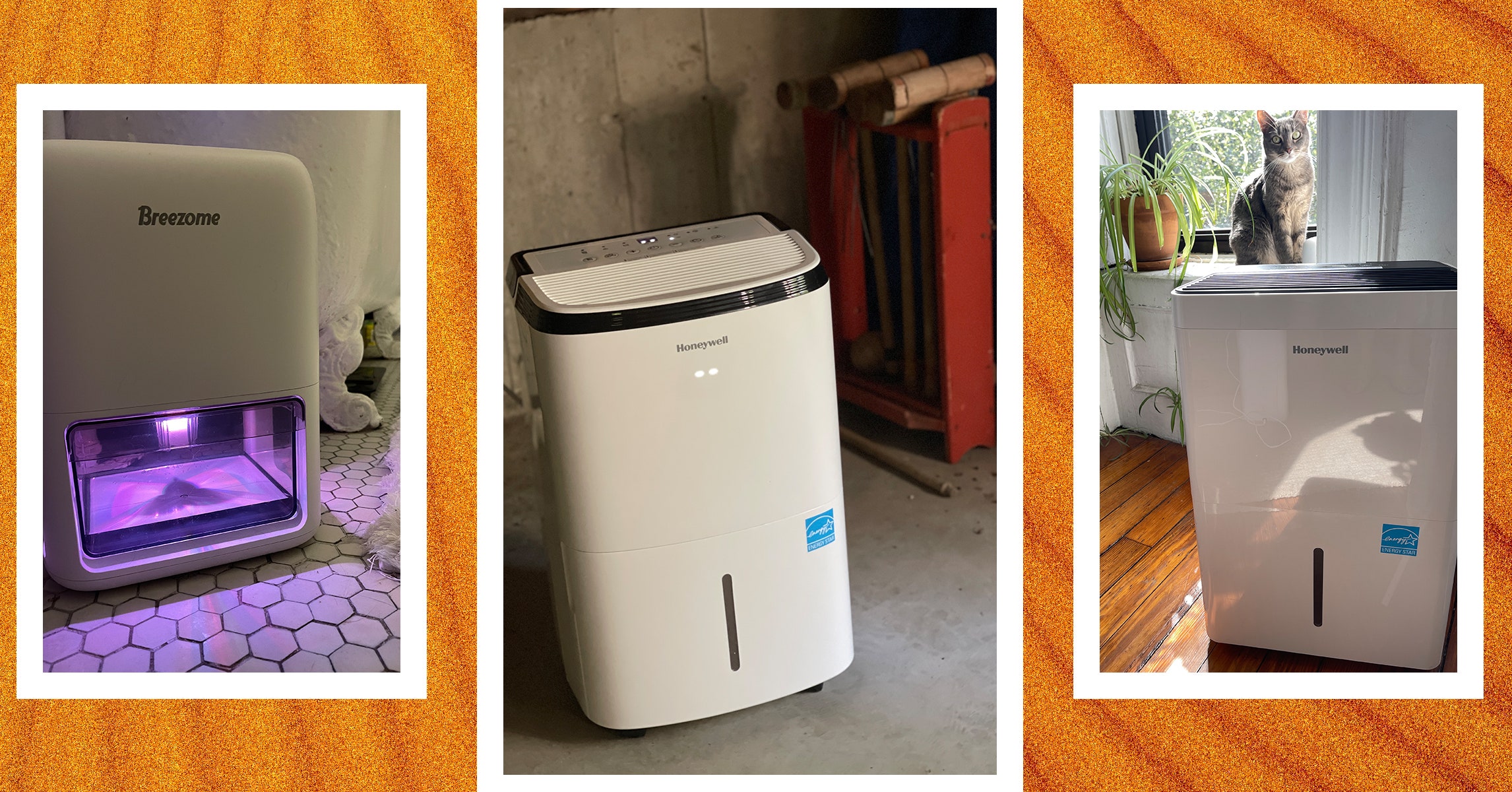 4 Best Dehumidifiers We've Tested and Reviewed