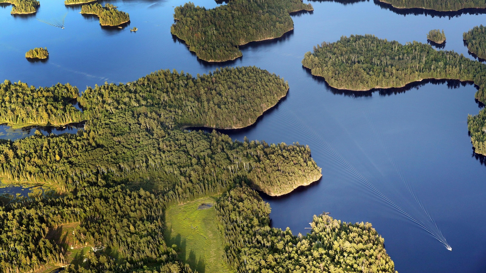 Flags fly at half-staff for Voyageurs National Park ranger who died in water rescue