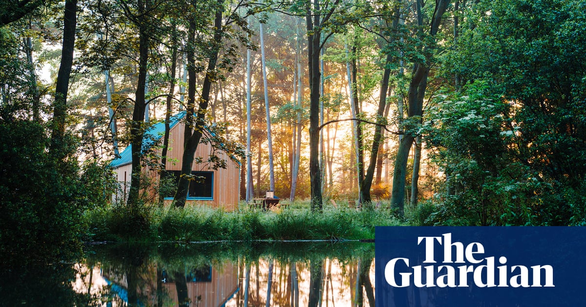 From cool cabins to country houses: six of Britain’s best forest escapes | United Kingdom holidays