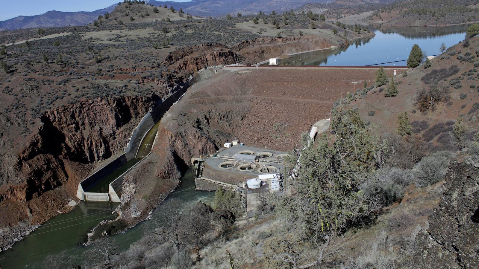 Salmon swim freely in the Klamath River for 1st time in a century after dams removed