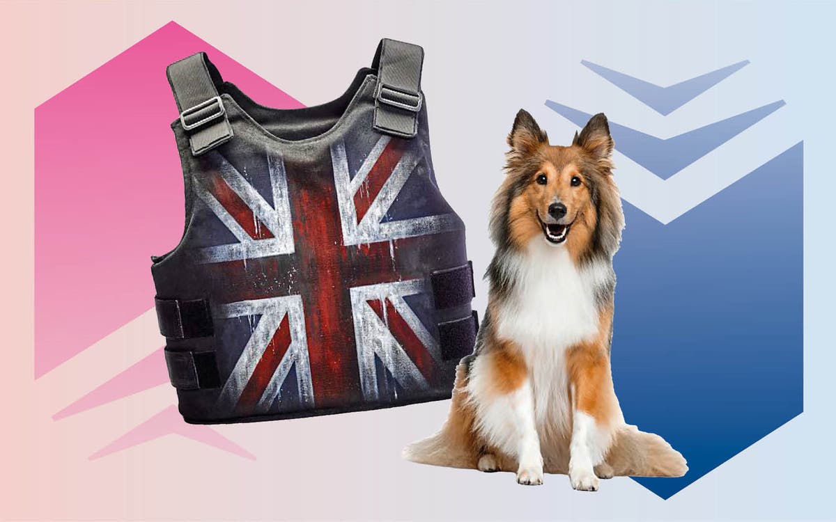 Banksy’s vest is the hot commodity, rescue dogs are ‘common’ — this week's Barometer