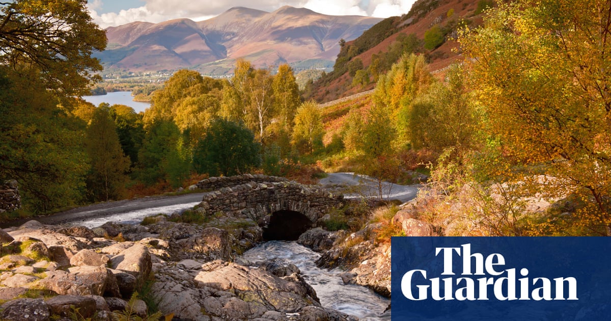 ‘A wildly beautiful place for autumn colour’: readers’ favourite UK forest trails | Walking holidays